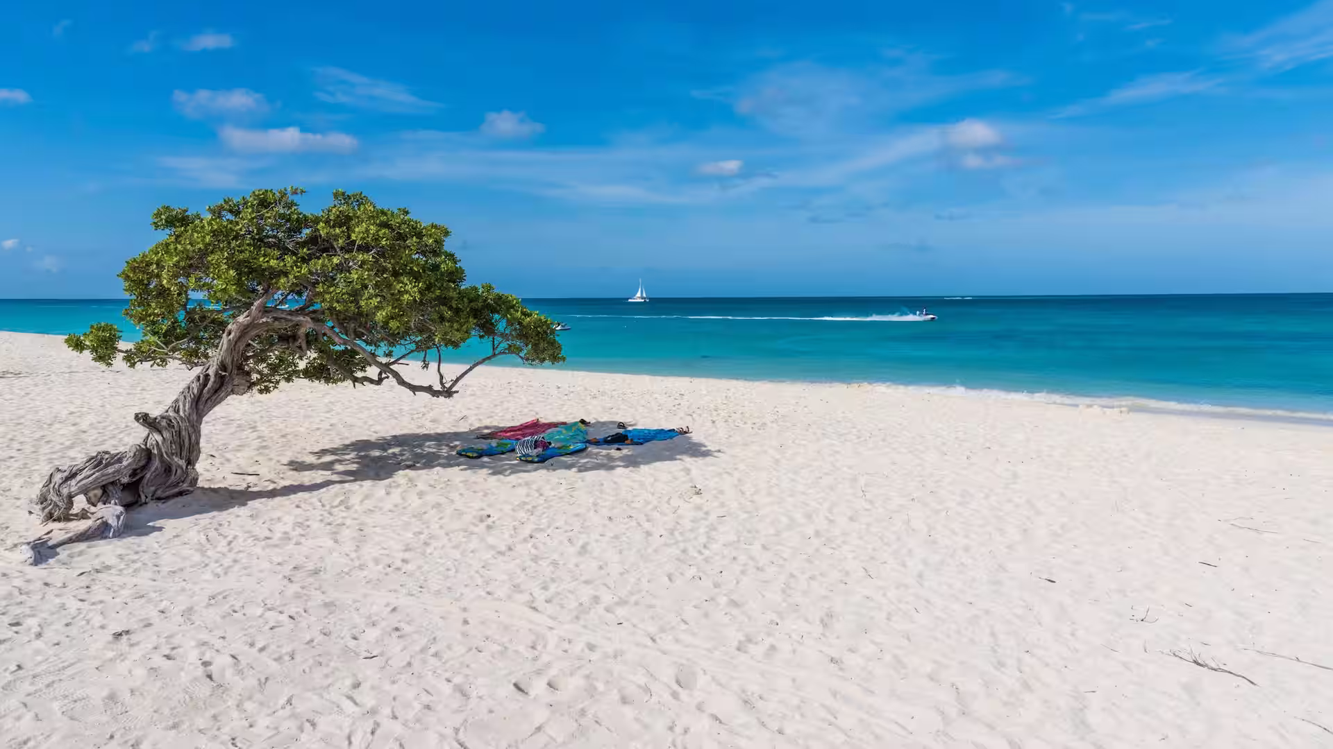 Aruba